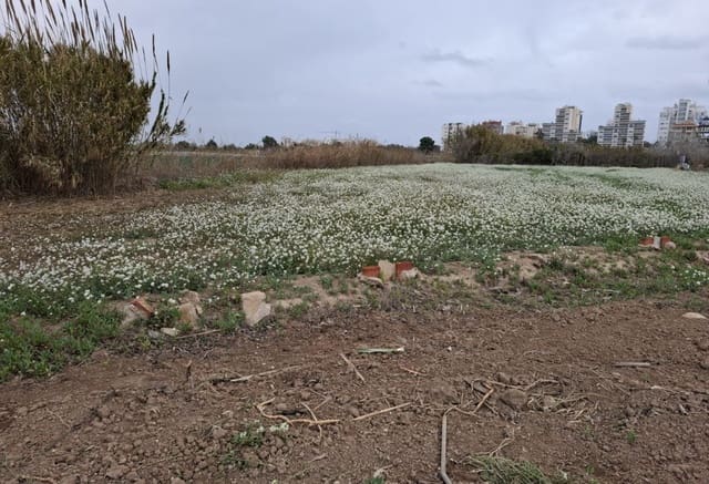 Building Plot for sale in Guardamar Playa, Guardamar del Segura - € 24,000 (Ref: 9133263)