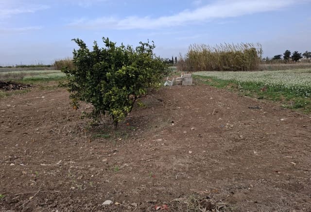 Tomt till salu i Guardamar Playa, Guardamar del Segura - 23 000 € (Ref: 9133263)