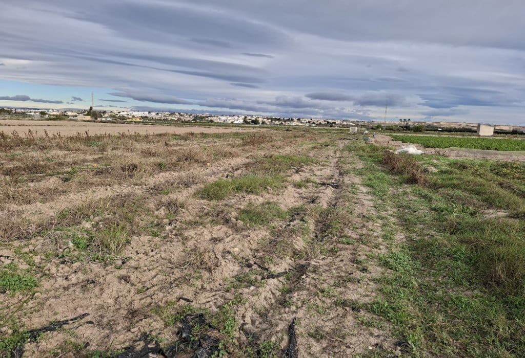 Byggegrund til salg i Guardamar del Segura - € 34.000 (Ref: 9133264)