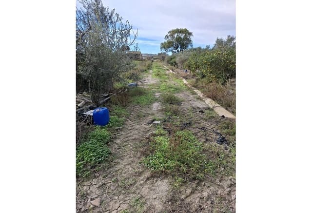 Byggegrund til salg i Guardamar del Segura - € 34.000 (Ref: 9133264)