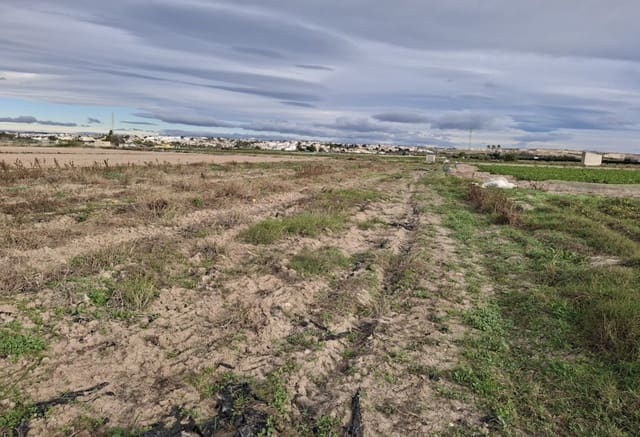 Byggegrund til salg i Guardamar del Segura - € 34.000 (Ref: 9133264)