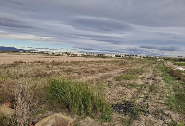 Byggegrund til salg i Guardamar del Segura - € 34.000 (Ref: 9133264)