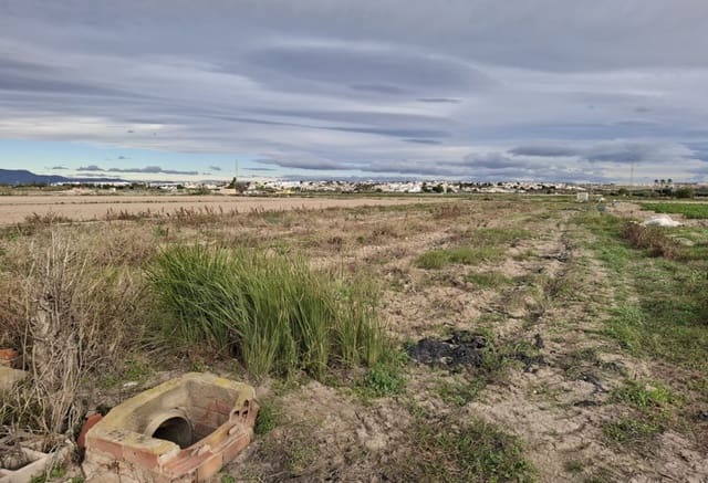 Byggegrund til salg i Guardamar del Segura - € 34.000 (Ref: 9133264)