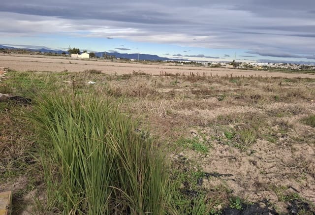 Byggegrund til salg i Guardamar del Segura - € 34.000 (Ref: 9133264)