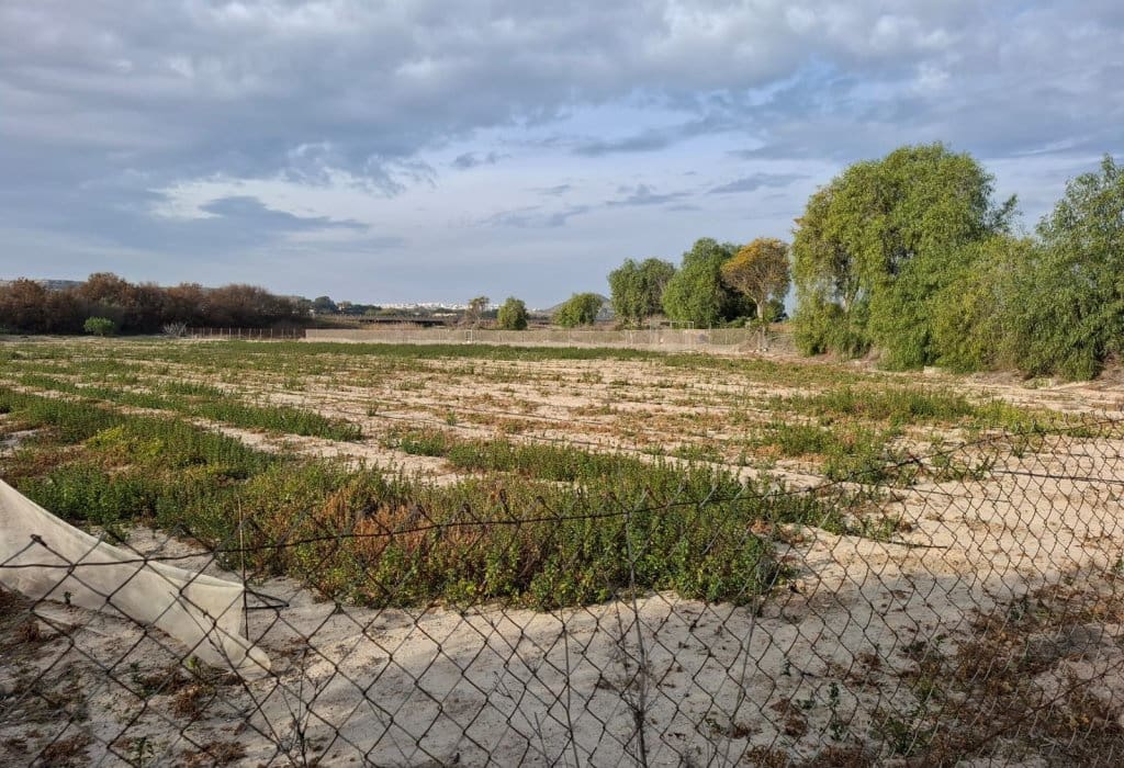 Byggetomt til salgs i Guardamar del Segura - € 30 998 (Ref: 9133265)