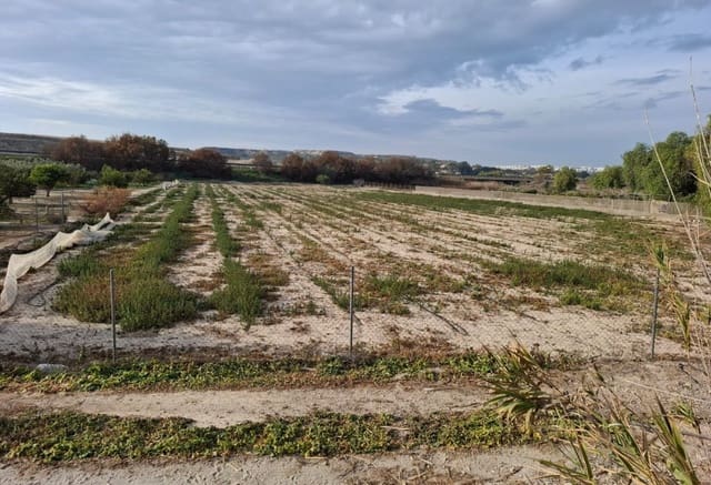 Bouwgrond te koop in Guardamar del Segura - € 30.998 (Ref: 9133265)