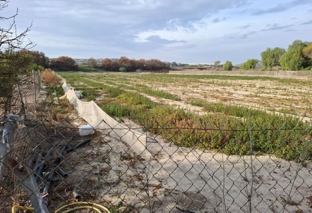 Bouwgrond te koop in Guardamar del Segura - € 30.998 (Ref: 9133265)