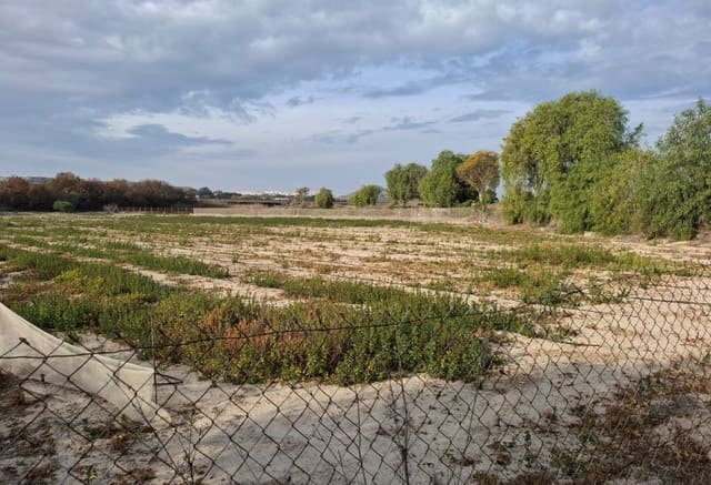 Bouwgrond te koop in Guardamar del Segura - € 30.998 (Ref: 9133265)