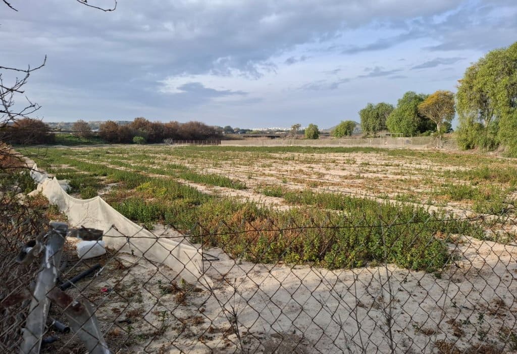 Byggetomt til salgs i Guardamar del Segura - € 30 998 (Ref: 9133265)