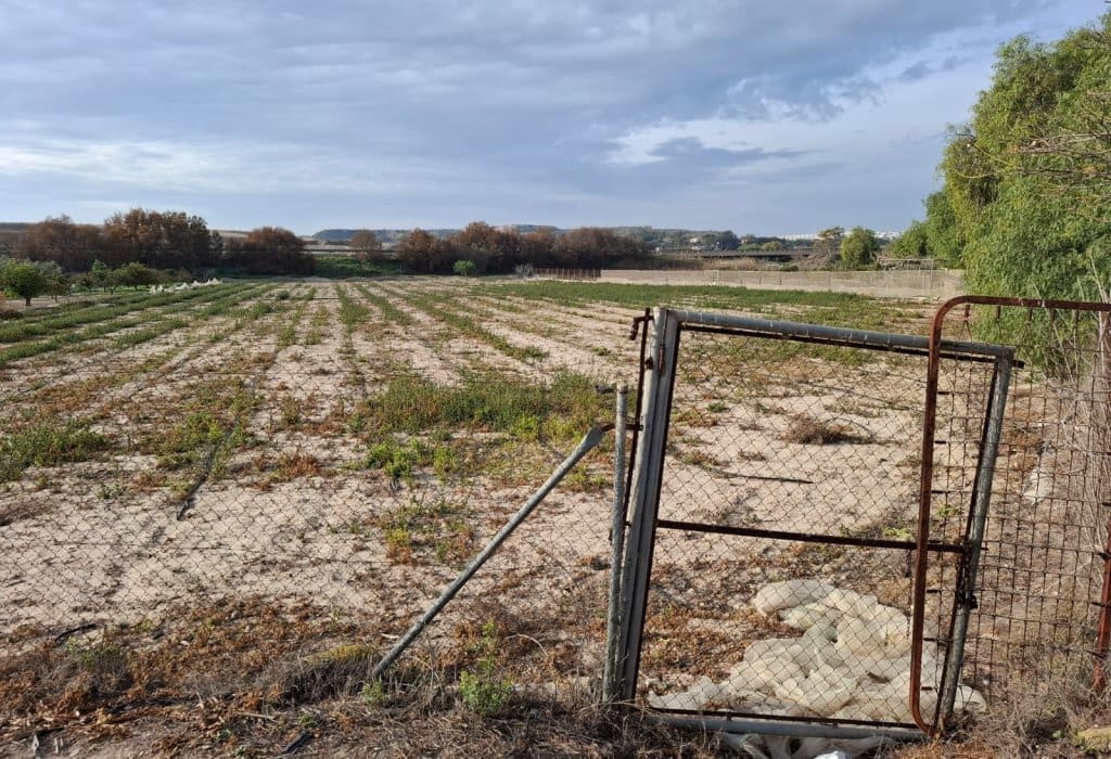 Byggetomt til salgs i Guardamar del Segura - € 30 998 (Ref: 9133265)