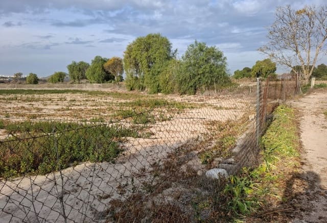 Bouwgrond te koop in Guardamar del Segura - € 30.998 (Ref: 9133265)