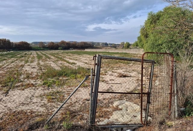 Bouwgrond te koop in Guardamar del Segura - € 30.998 (Ref: 9133265)