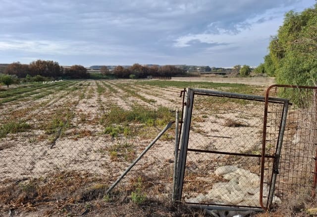 Bouwgrond te koop in Guardamar del Segura - € 30.998 (Ref: 9133265)