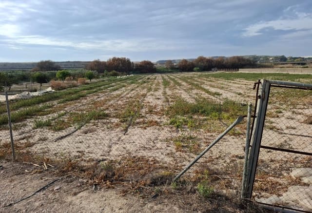 Bouwgrond te koop in Guardamar del Segura - € 30.998 (Ref: 9133265)