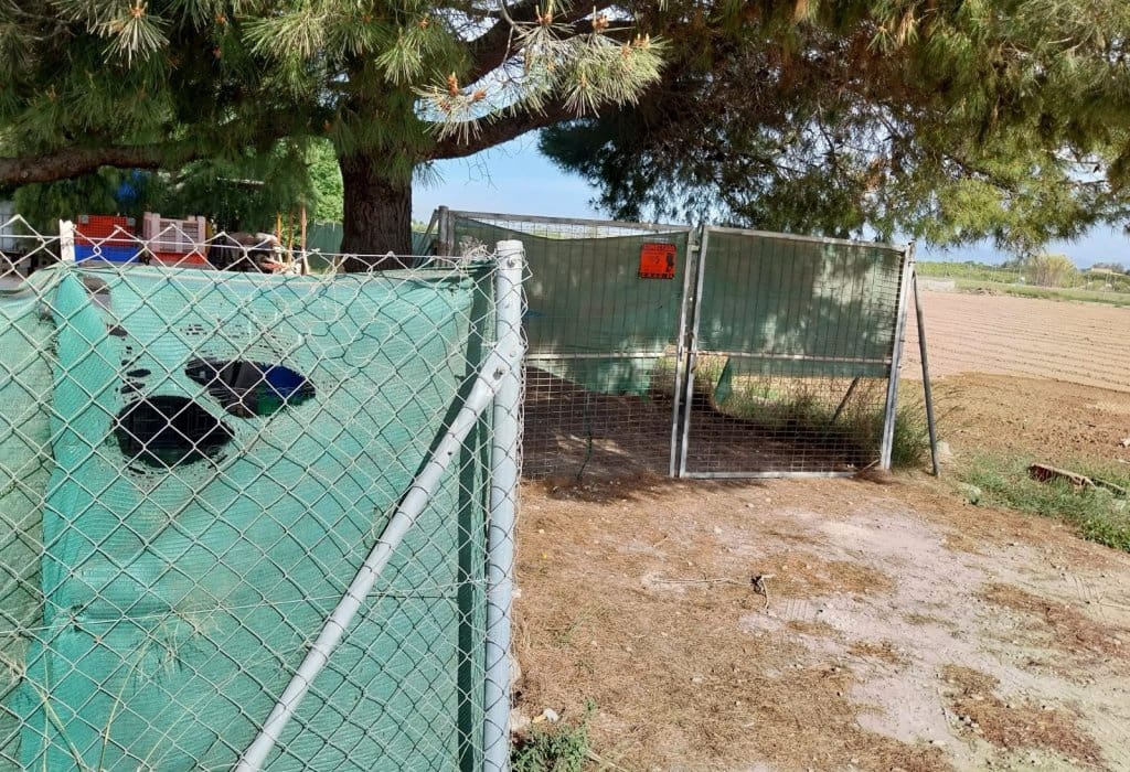 Byggegrund til salg i Guardamar del Segura - € 65.000 (Ref: 9160079)