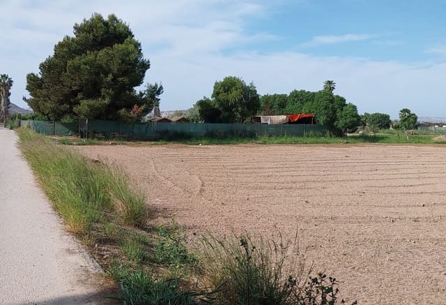 Byggegrund til salg i Guardamar del Segura - € 65.000 (Ref: 9160079)