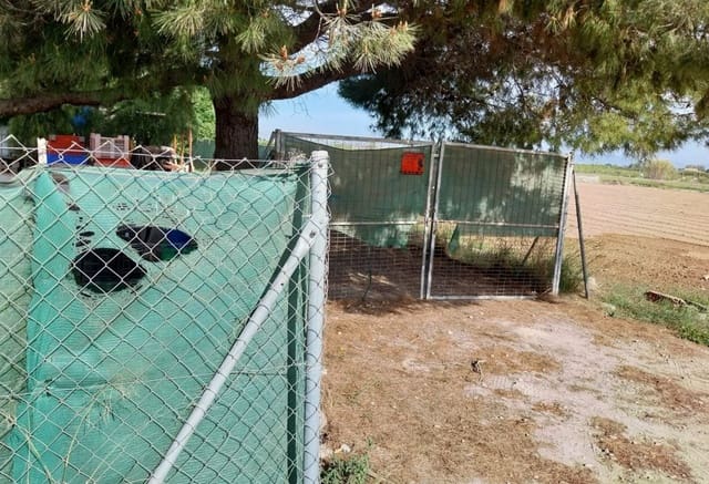 Byggegrund til salg i Guardamar del Segura - € 65.000 (Ref: 9160079)