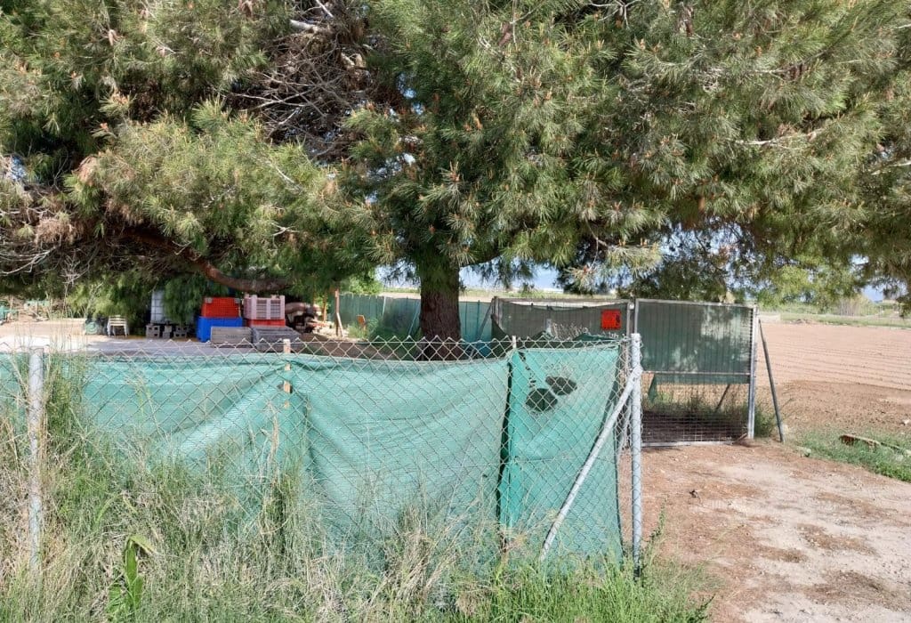 Byggegrund til salg i Guardamar del Segura - € 65.000 (Ref: 9160079)