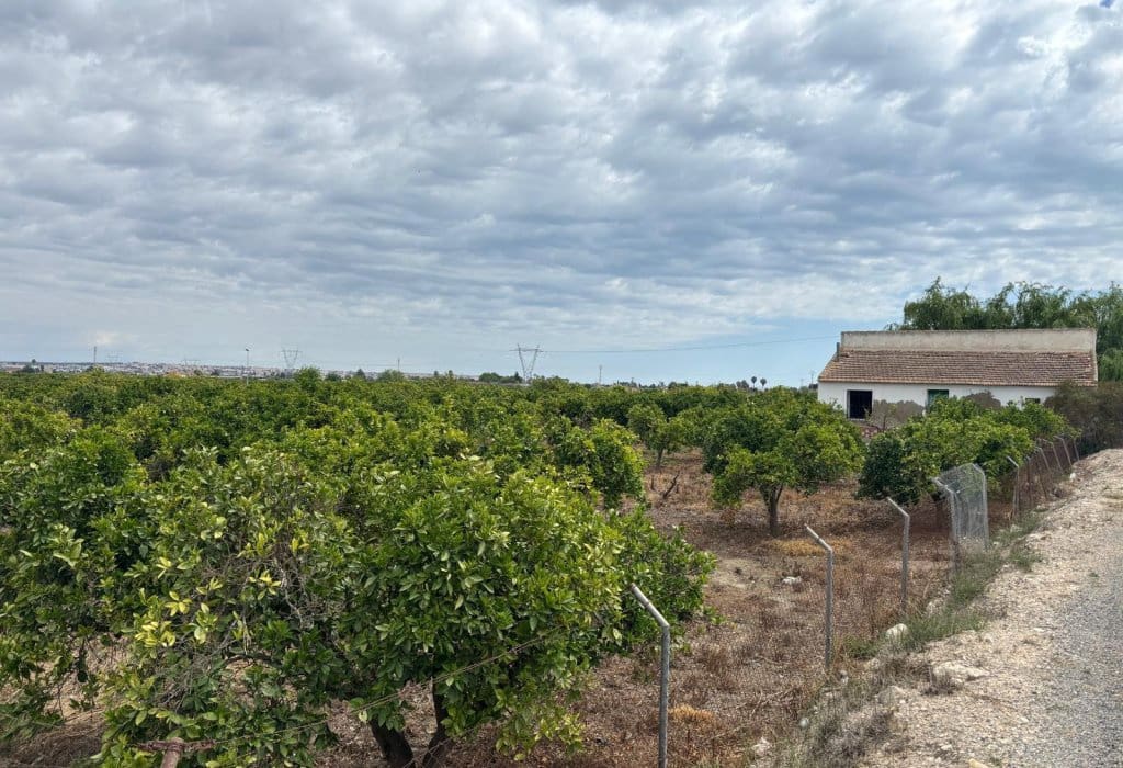 Finca/Landehus til salg i Ciudad Quesada - € 213.000 (Ref: 9160269)