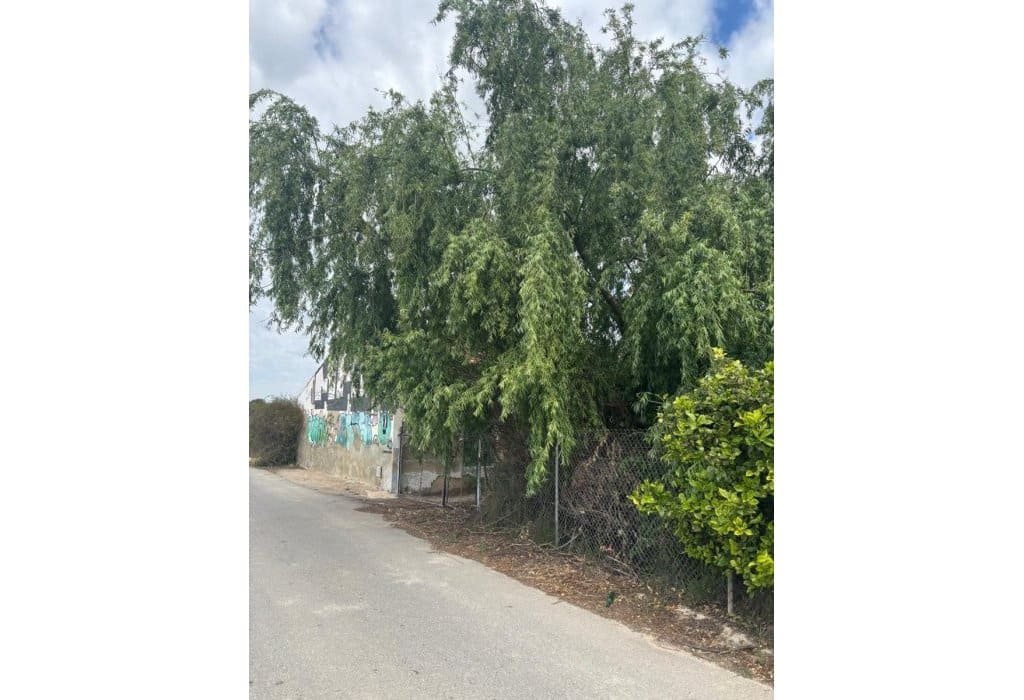 Finca/Landehus til salg i Ciudad Quesada - € 213.000 (Ref: 9160269)