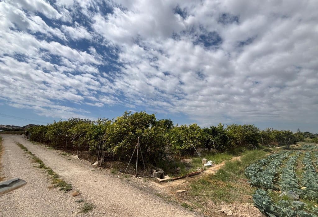 Finca/Landehus til salg i Ciudad Quesada - € 213.000 (Ref: 9160269)