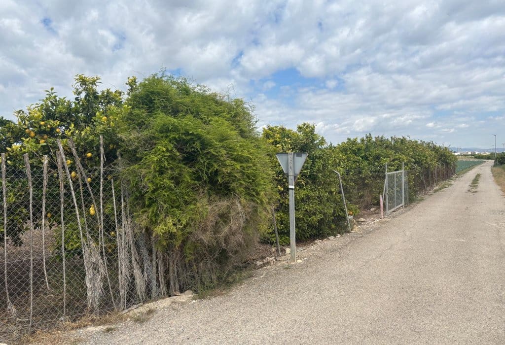 Finca/Landehus til salg i Ciudad Quesada - € 213.000 (Ref: 9160269)