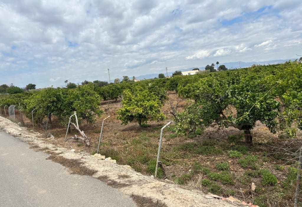 Finca/Landehus til salg i Ciudad Quesada - € 213.000 (Ref: 9160269)