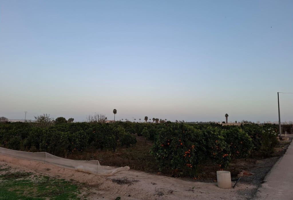 Area Edificabile in vendita in Guardamar del Segura - 120.000 € (Rif: 9201651)