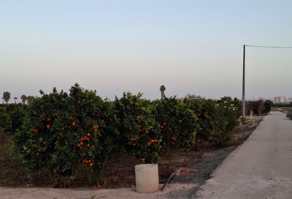 Area Edificabile in vendita in Guardamar del Segura - 120.000 € (Rif: 9201651)