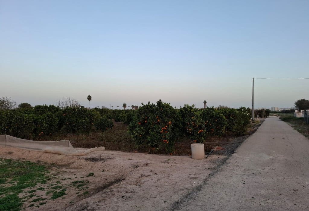 Area Edificabile in vendita in Guardamar del Segura - 120.000 € (Rif: 9201651)