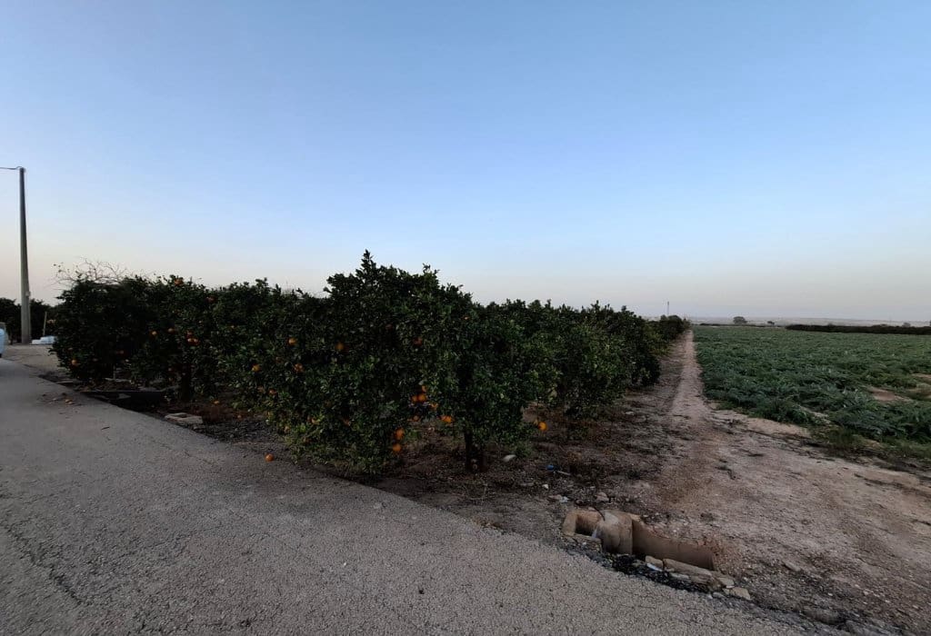 Area Edificabile in vendita in Guardamar del Segura - 120.000 € (Rif: 9201651)