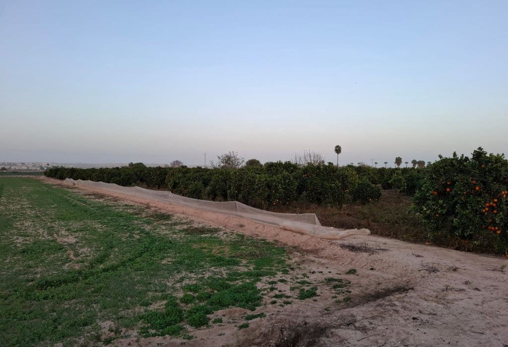 Area Edificabile in vendita in Guardamar del Segura - 120.000 € (Rif: 9201651)