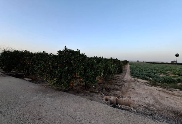 Byggegrund til salg i Guardamar Playa, Guardamar del Segura - € 120.000 (Ref: 9201651)