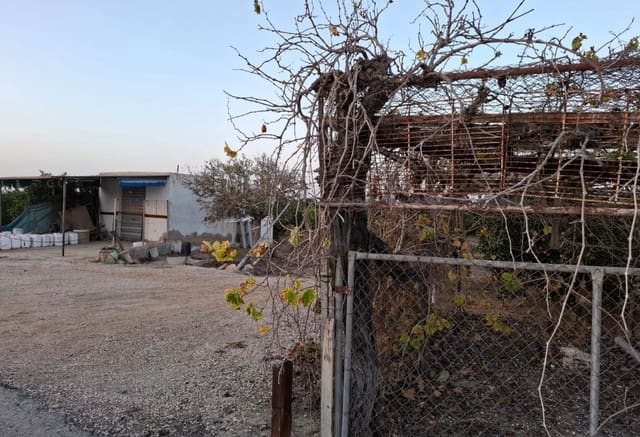 Byggegrund til salg i Guardamar Playa, Guardamar del Segura - € 120.000 (Ref: 9201651)