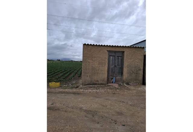 Building Plot for sale in San Fulgencio - € 25,000 (Ref: 9201652)