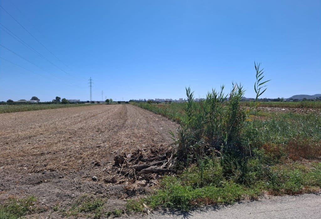 Byggegrund til salg i Guardamar del Segura - € 45.000 (Ref: 9201653)