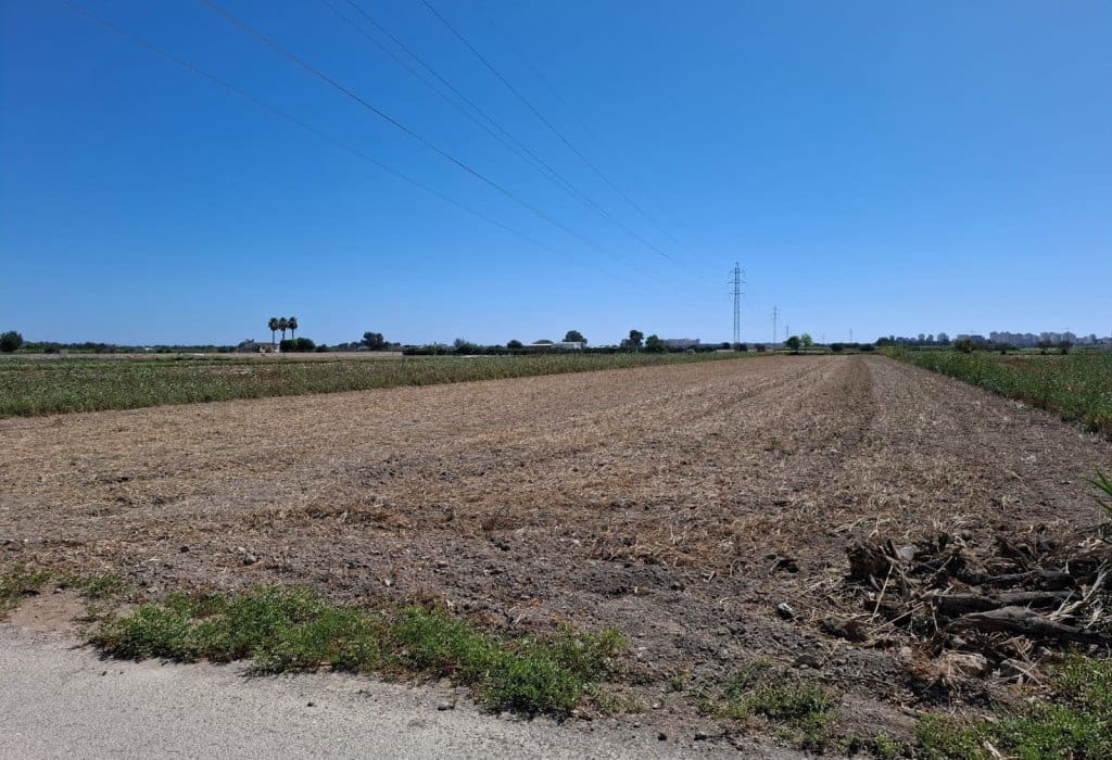 Byggegrund til salg i Guardamar del Segura - € 45.000 (Ref: 9201653)