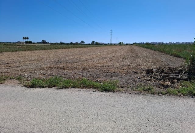 Byggegrund til salg i Guardamar Playa, Guardamar del Segura - € 45.000 (Ref: 9201653)