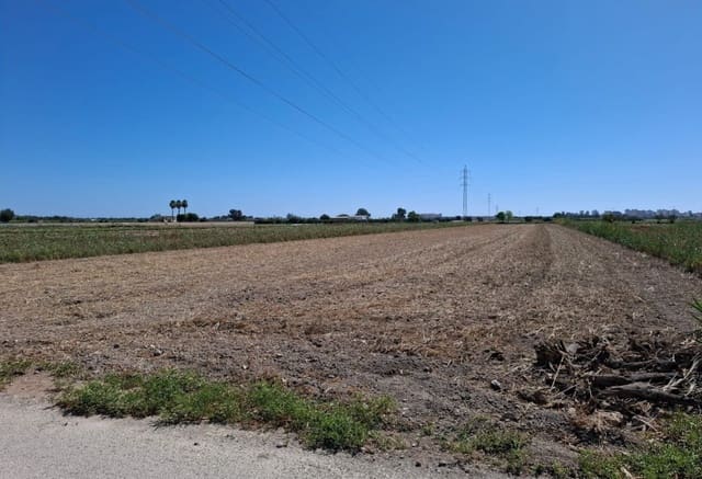 Byggegrund til salg i Guardamar Playa, Guardamar del Segura - € 45.000 (Ref: 9201653)