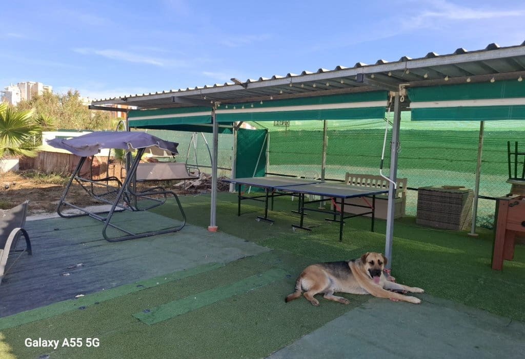 Solar/Parcela en Guardamar del Segura en venta - 75.000 € (Ref: 9267659)