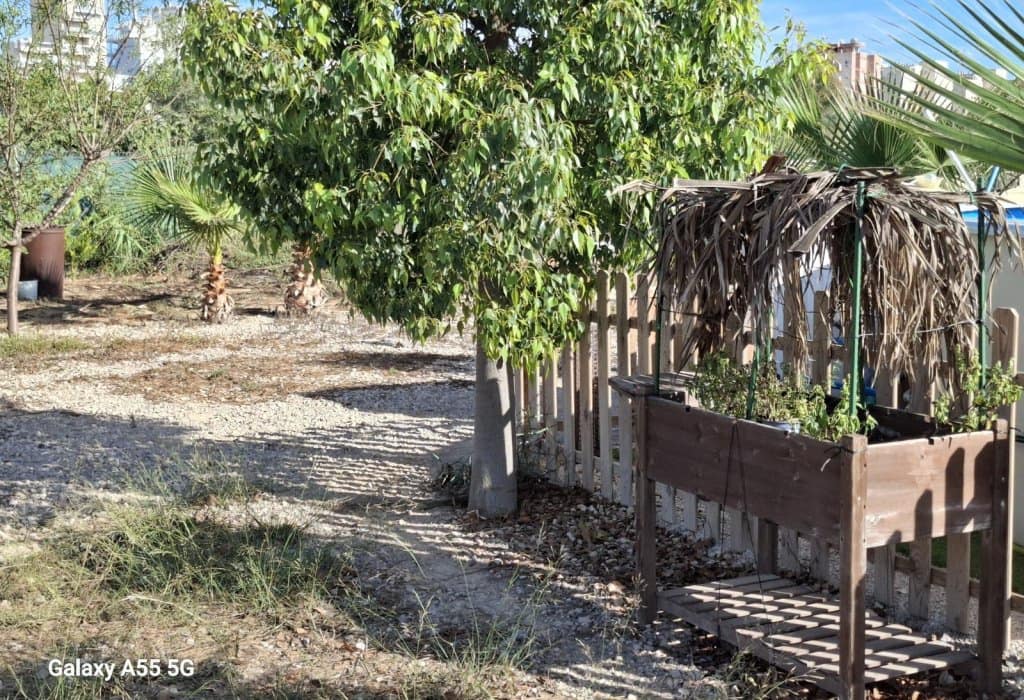 Solar/Parcela en Guardamar del Segura en venta - 75.000 € (Ref: 9267659)
