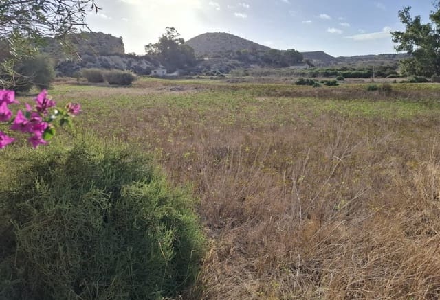 Tomt till salu i Ciudad Quesada, Rojales - 115 000 € (Ref: 9267758)