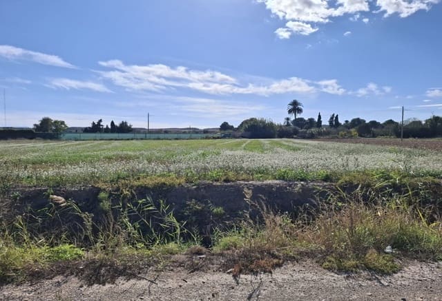 Tomt till salu i Guardamar del Segura - 28 000 € (Ref: 9396640)