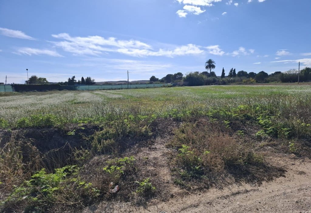 Building Plot for sale in Guardamar del Segura - € 28,000 (Ref: 9396640)