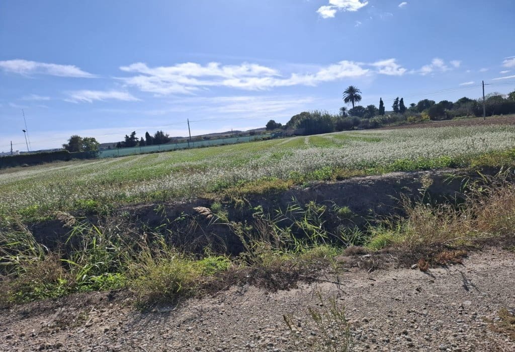 Building Plot for sale in Guardamar del Segura - € 28,000 (Ref: 9396640)