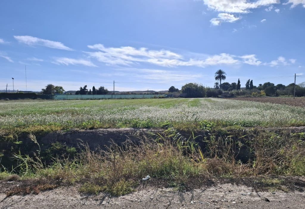 Building Plot for sale in Guardamar del Segura - € 28,000 (Ref: 9396640)