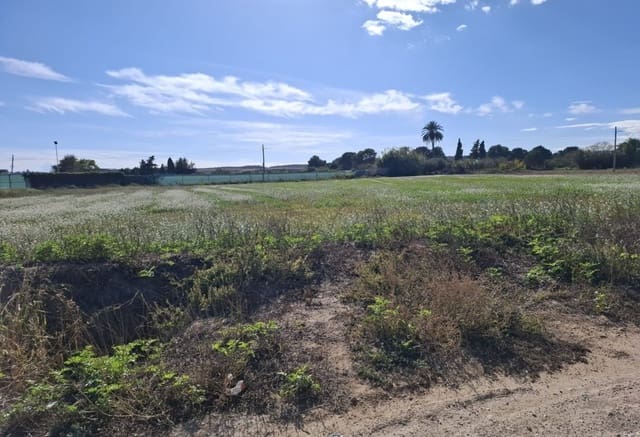 Tomt till salu i Guardamar del Segura - 28 000 € (Ref: 9396640)