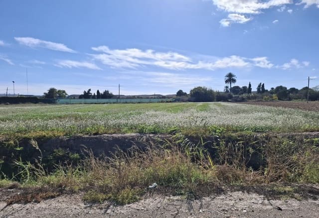 Tomt till salu i Guardamar del Segura - 28 000 € (Ref: 9396640)