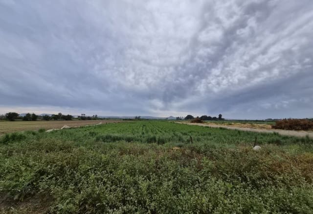 Tontti myytävänä paikassa Guardamar del Segura - 45 000 € (Ref: 9844325)
