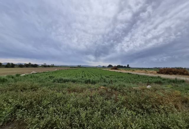 Tontti myytävänä paikassa Guardamar del Segura - 45 000 € (Ref: 9844325)